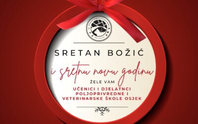 Sretan Božić i sretna nova 2025. godina!