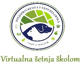 Virtualna šetnja školom