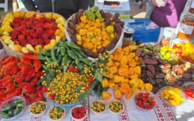 Paprikafest u Lugu