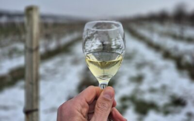 Obilježili smo Vincekovo