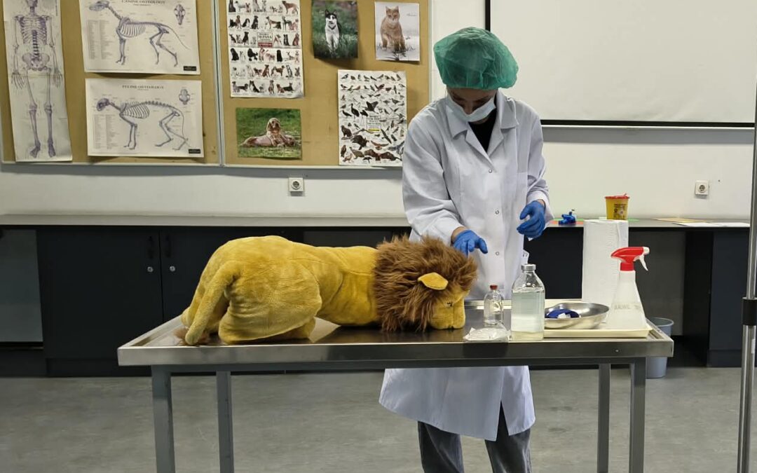 Školska razina natjecanja Veterina