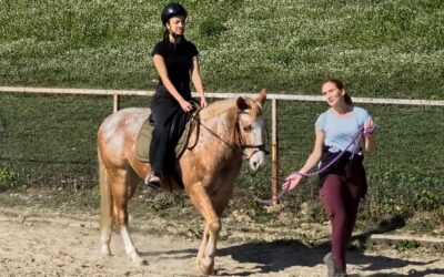 Terenska nastava u Udruzi “Mogu”