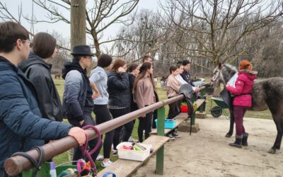 Terenska nastava u Udruzi “Mogu”