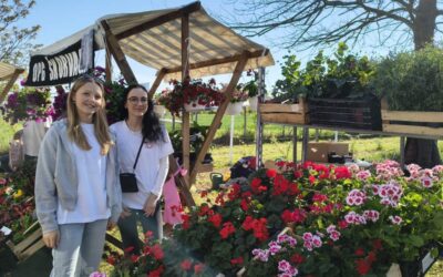 Proljetni sajam u medijima