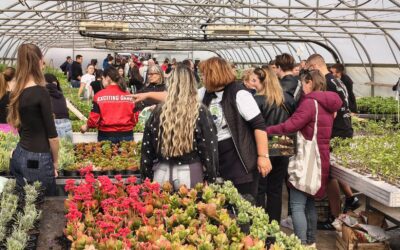 Održan je četvrti Proljetni sajam