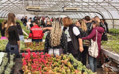 Održan je četvrti Proljetni sajam