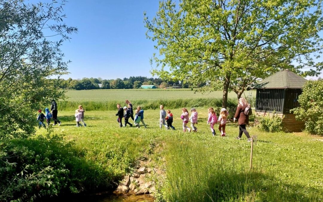 DV Bajka “Od sjemenke do ekrana: mali agronomi i istraživači”