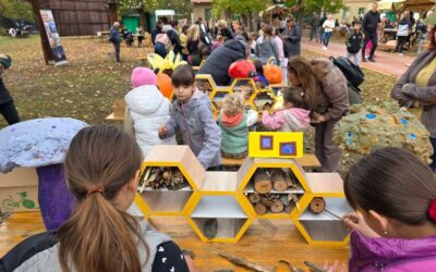 Festival Čudesna šuma